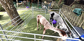 mobile farm visits education